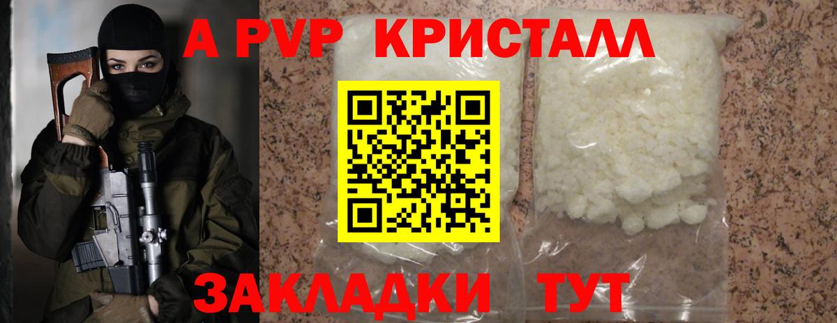 A PVP СК КРИС Борзя