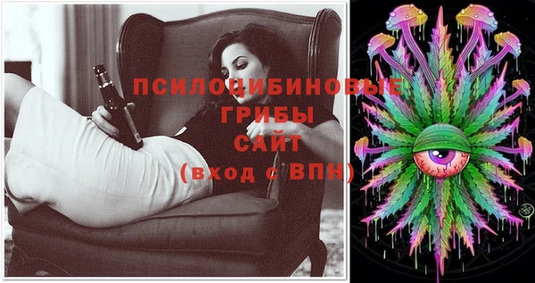 прущая мука Алзамай