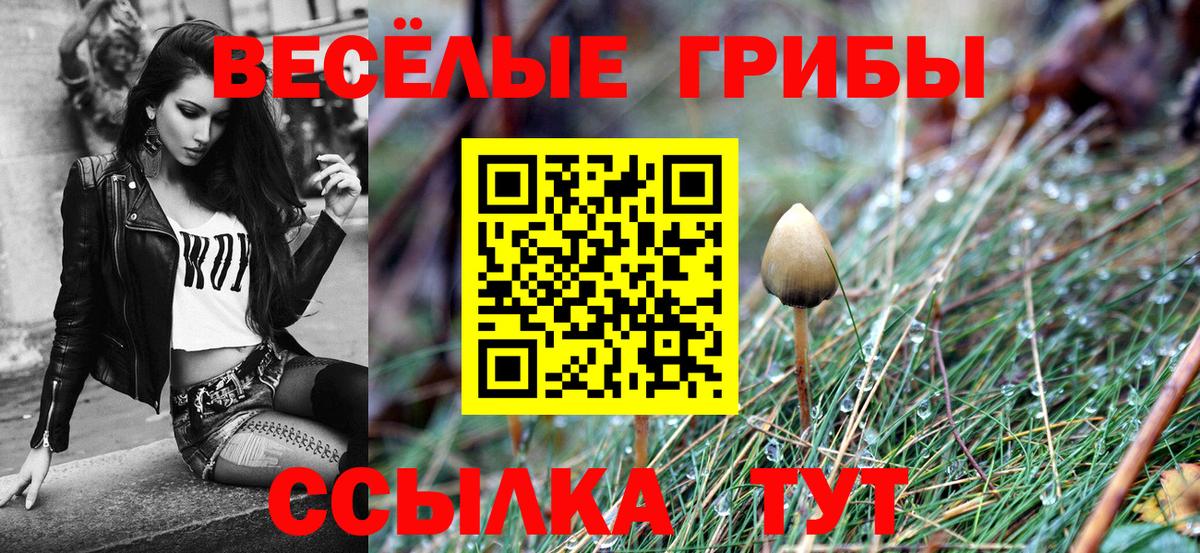 Галлюциногенные грибы мицелий Борзя