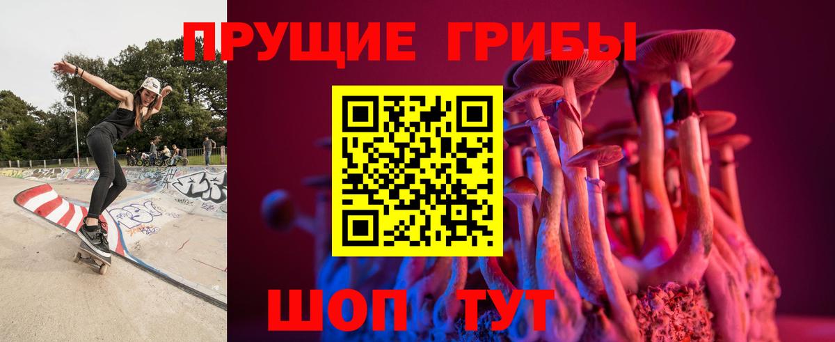 Галлюциногенные грибы Psilocybine cubensis  Вход с VPN  Псилоцибиновые грибы GOLDEN TEACHER  Борзя 