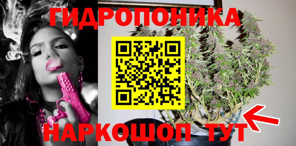 Борзя  Канабис планчик  Конопля индика  Вход с VPN  МАРИХУАНА OG Kush 